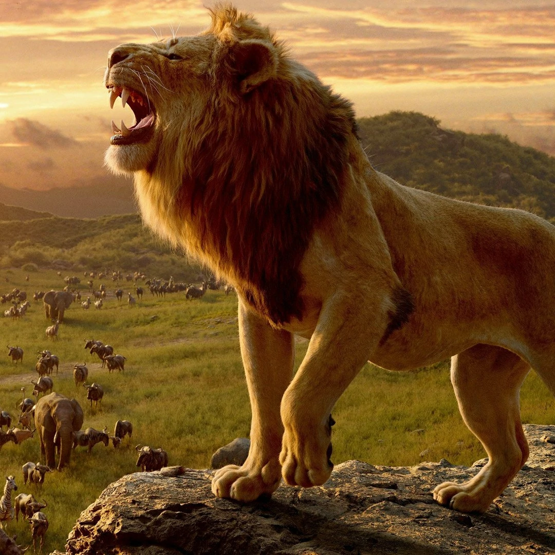 The Lion King
